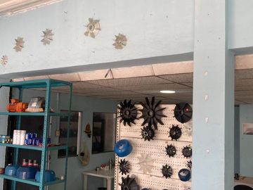 Venta propiedad comercial sobre la via principal de la Av Daule ( diagonal Maquinarias Henriques )