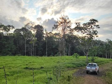 BONITA FINCA DE 1 HA EN PEDRO VICENTE MALDONADO A 2 KM DEL CENTRO