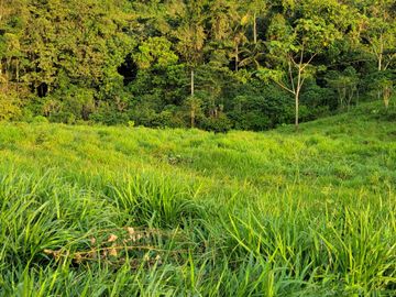 BONITA FINCA DE 1 HA EN PEDRO VICENTE MALDONADO A 2 KM DEL CENTRO
