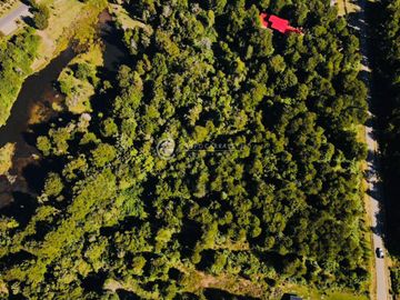 PARCELA FRUTILLAR CON BOSQUE NATIVO