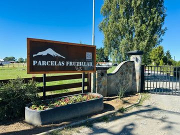 PARCELA FRUTILLAR CON BOSQUE NATIVO