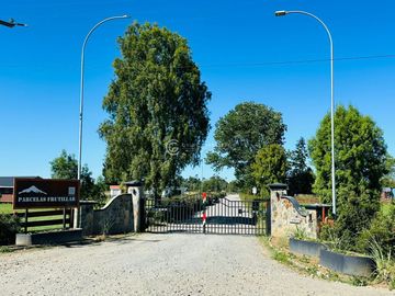 PARCELA FRUTILLAR CON BOSQUE NATIVO