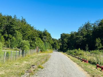 PARCELA FRUTILLAR CON BOSQUE NATIVO