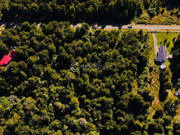 PARCELA FRUTILLAR CON BOSQUE NATIVO