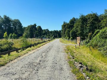 PARCELA FRUTILLAR CON BOSQUE NATIVO