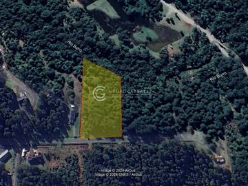 PARCELA FRUTILLAR CON BOSQUE NATIVO