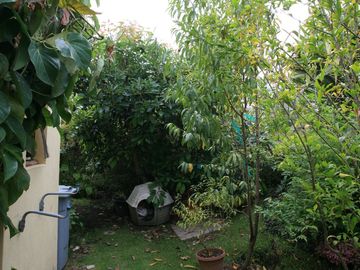 HERMOSA CASA EN VENTA EN PAKAKUNA – RODEADA DE NATURALEZA
