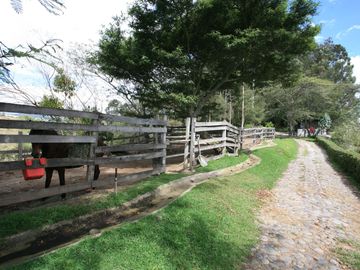 HERMOSA CASA EN VENTA EN PAKAKUNA – RODEADA DE NATURALEZA