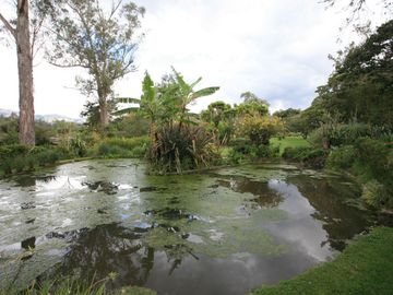 HERMOSA CASA EN VENTA EN PAKAKUNA – RODEADA DE NATURALEZA