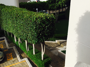 Vendo Departamento en Av Vasco de Quiroga 1805 Álvaro Obregón