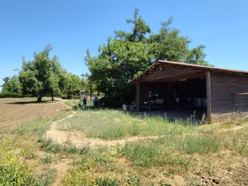 Se vende excelente y bonita parcela de agrado en Huilquilemu.