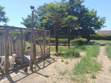 Se vende excelente y bonita parcela de agrado en Huilquilemu.