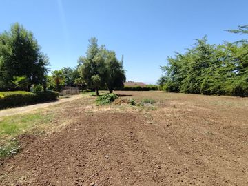 Se vende excelente y bonita parcela de agrado en Huilquilemu.