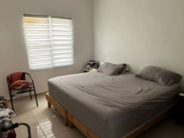 Calle 12 - Cancún