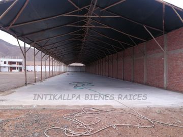 TERRENO DE 5,000 M2. EN PUCUSANA