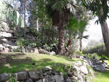LA PLANICIE, ACOGEDORA CASA RODEADA DE NATURALEZA