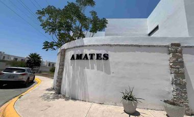 Venta de terreno en circuito Amates en Fracc. Los Olivos en Gomez Palacio Durango
