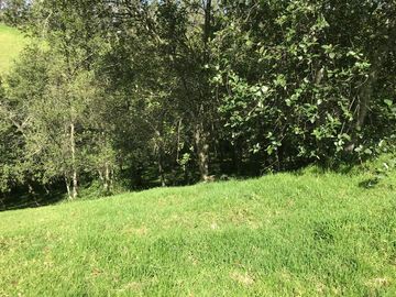 Vendo terreno de 4 hectáreas en Sangolquí.