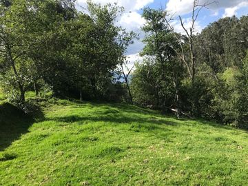Vendo terreno de 4 hectáreas en Sangolquí.