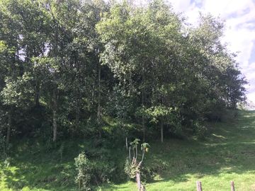 Vendo terreno de 4 hectáreas en Sangolquí.