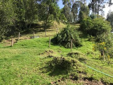 Vendo terreno de 4 hectáreas en Sangolquí.