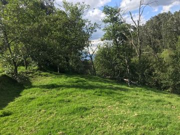 Vendo terreno de 4 hectáreas en Sangolquí.