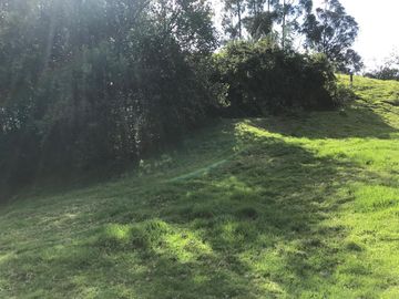 Vendo terreno de 4 hectáreas en Sangolquí.