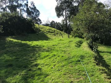 Vendo terreno de 4 hectáreas en Sangolquí.