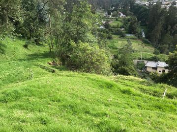 Vendo terreno de 4 hectáreas en Sangolquí.