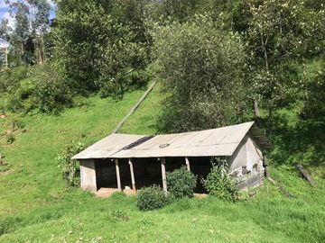 Vendo terreno de 4 hectáreas en Sangolquí.