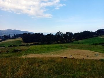 VENTA ESPECTACULAR FINCA EN COGUA,CUNDINAMARCA