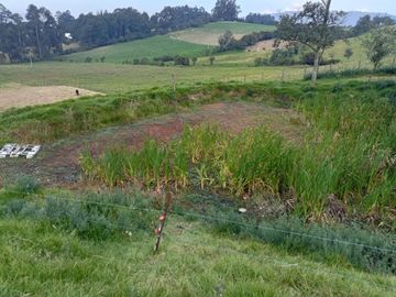 VENTA ESPECTACULAR FINCA EN COGUA,CUNDINAMARCA