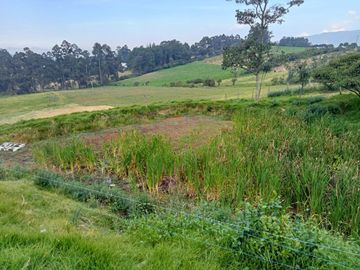 VENTA ESPECTACULAR FINCA EN COGUA,CUNDINAMARCA