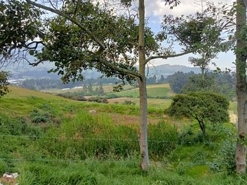 VENTA ESPECTACULAR FINCA EN COGUA,CUNDINAMARCA
