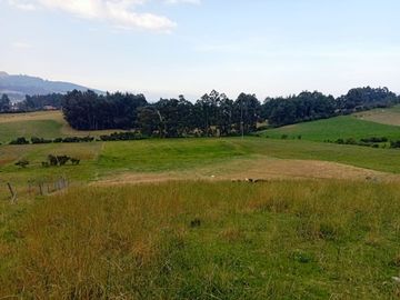 VENTA ESPECTACULAR FINCA EN COGUA,CUNDINAMARCA