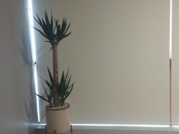 ¡Linda Casa en Venta en Urb. San Ignacio de Monterrico, Surco!