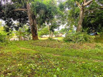 3,910 m2 / .97 Acres Tropical Sunrise Beachfront for Retirement Lifestyle