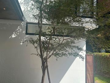 Se vende casa en Arauca