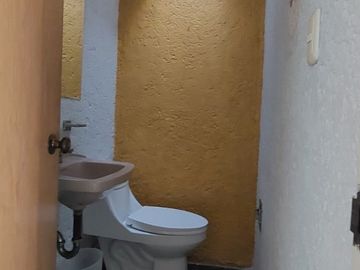 Casa rodeada de jardines