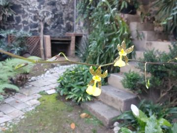 Casa rodeada de jardines