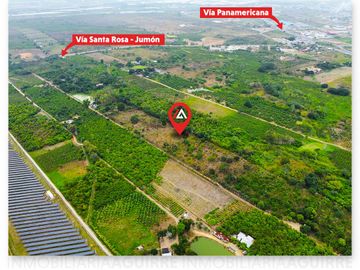 EN VENTA: terreno altamente fructífero a 5 minutos del Aeropuerto de Santa Rosa, El Oro