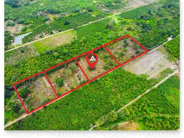 EN VENTA: terreno altamente fructífero a 5 minutos del Aeropuerto de Santa Rosa, El Oro