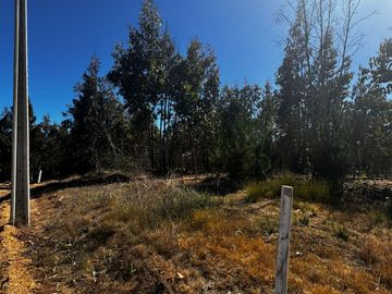 Se vende parcela de 5000 m2 a 10 minutos de Algarrobo