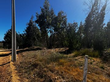 Se vende parcela de 5000 m2 a 10 minutos de Algarrobo
