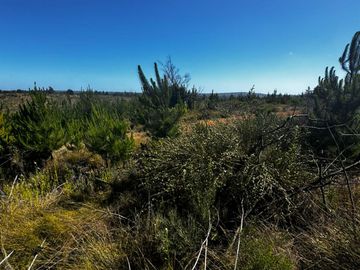 Se vende parcela de 5000 m2 a 10 minutos de Algarrobo