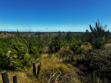 Se vende parcela de 5000 m2 a 10 minutos de Algarrobo