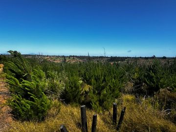 Se vende parcela de 5000 m2 a 10 minutos de Algarrobo