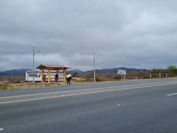 Venta de Terreno Agrícola de 288 Hectáreas - Chanduy, Santa Elena