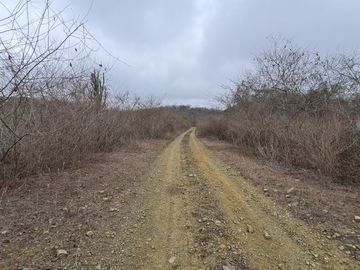 Venta de Terreno Agrícola de 288 Hectáreas - Chanduy, Santa Elena