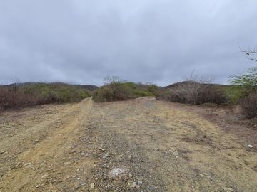 Venta de Terreno Agrícola de 288 Hectáreas - Chanduy, Santa Elena